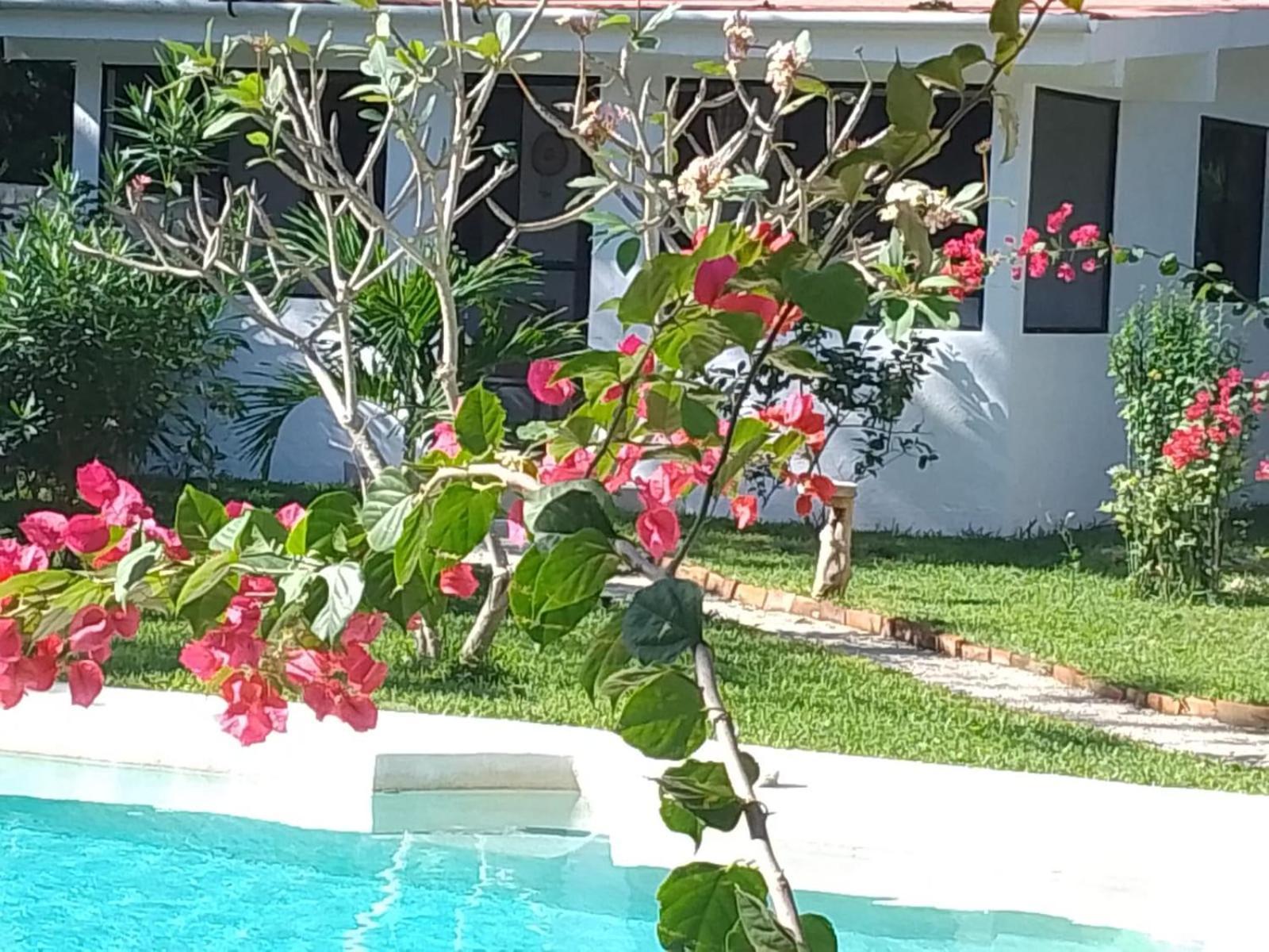 Kerubin Dorado Aparthotel Akumal Εξωτερικό φωτογραφία