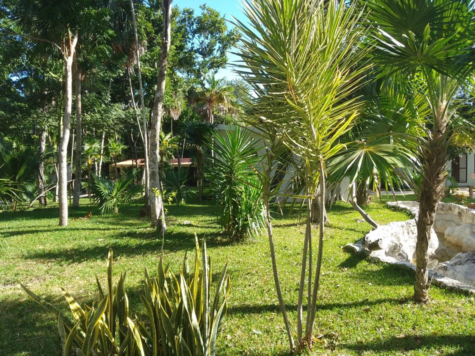 Kerubin Dorado Aparthotel Akumal Εξωτερικό φωτογραφία