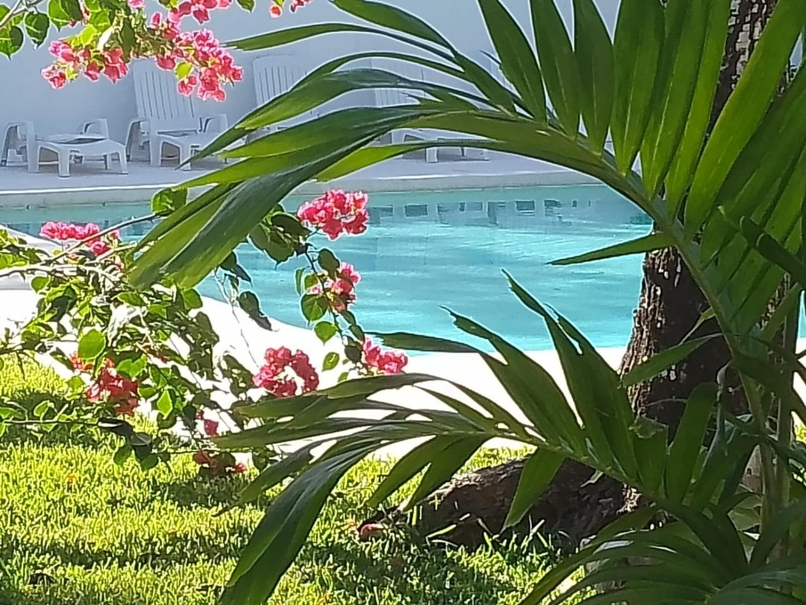 Kerubin Dorado Aparthotel Akumal Εξωτερικό φωτογραφία
