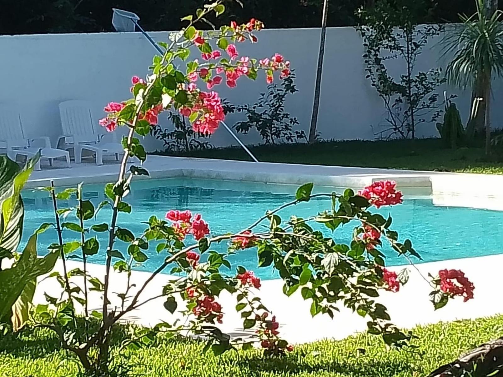 Kerubin Dorado Aparthotel Akumal Εξωτερικό φωτογραφία